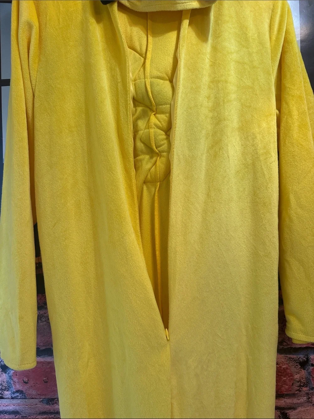Pokemon bright yellow